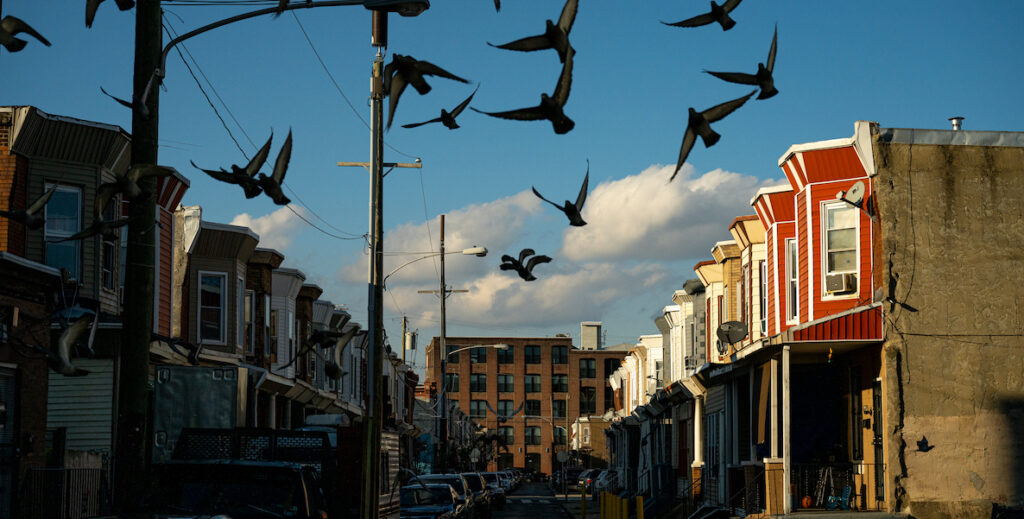 Pigeons fly above rowhomes in Kensington, Philadelphia, a neighborhood with a safety plan.