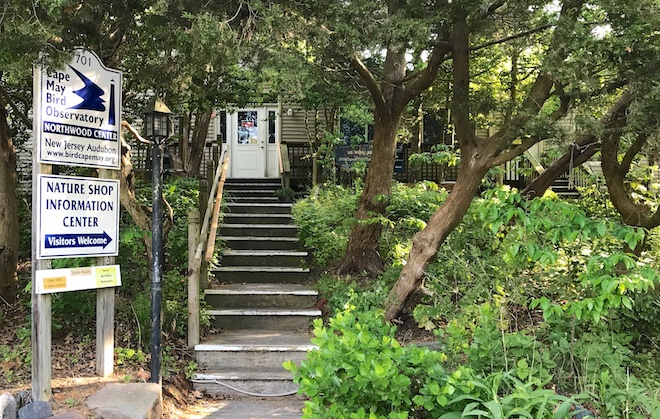 The Cape May Bird Observatory.
